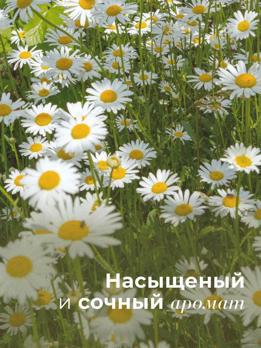 Увлажняющий гель для душа семейный 250 мл, Pravilnaya Kosmetika