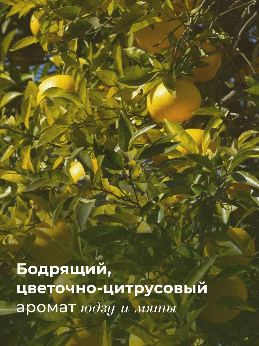 Солевой текстурирующий спрей для всех типов волос 250 мл, Pravilnaya Kosmetika