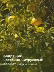 Солевой текстурирующий спрей для всех типов волос 250 мл, Pravilnaya Kosmetika