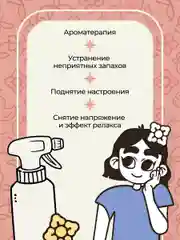 Спрей для дома и авто парфюмированный ароматический №3, 100 мл, Mui Thom