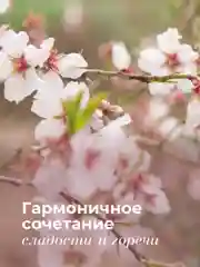Гель для душа 1000 мл, Pravilnaya Kosmetika