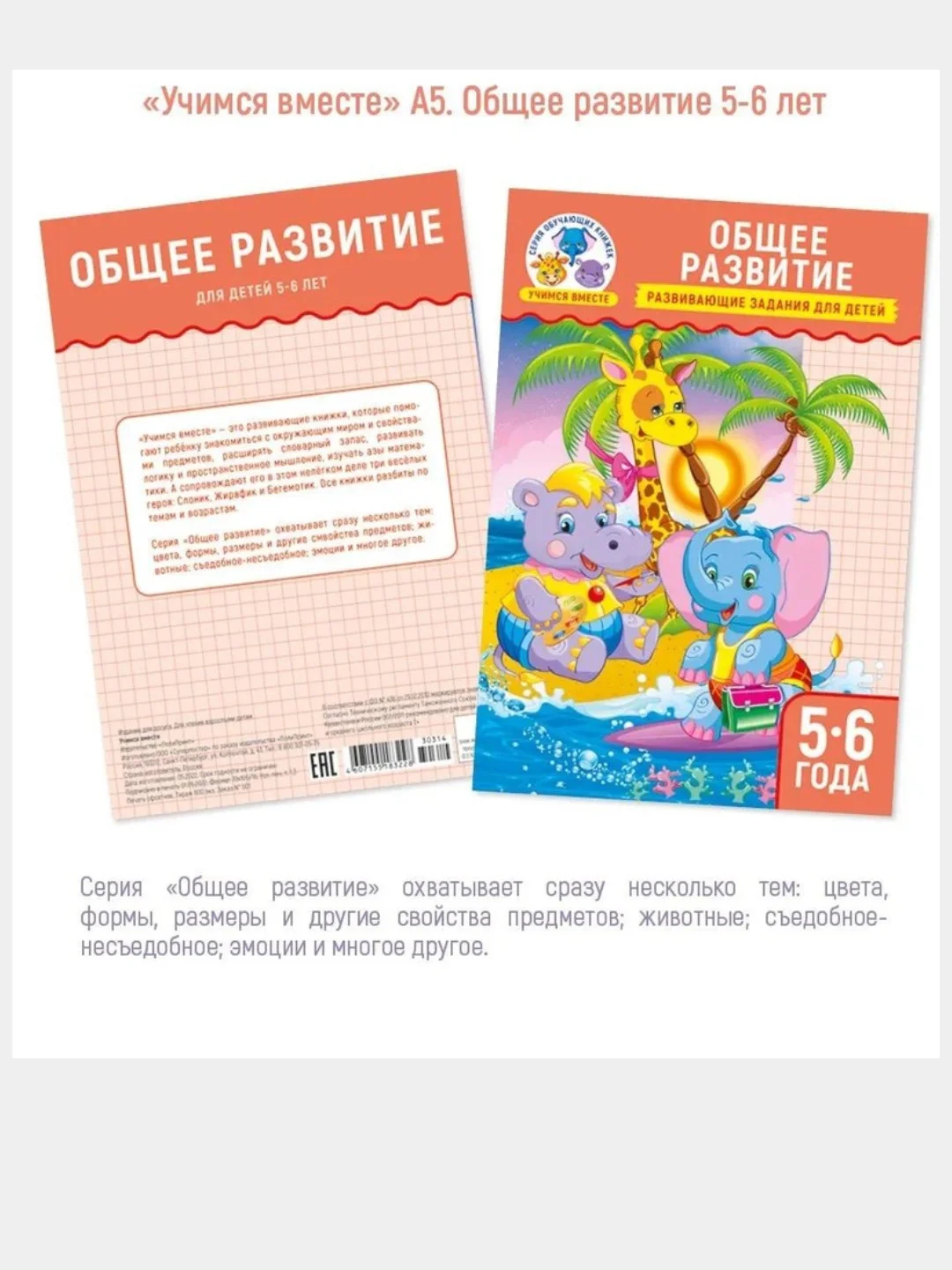 Рабочие тетрадки 4шт. Развивающие задания для детей 5-6 лет