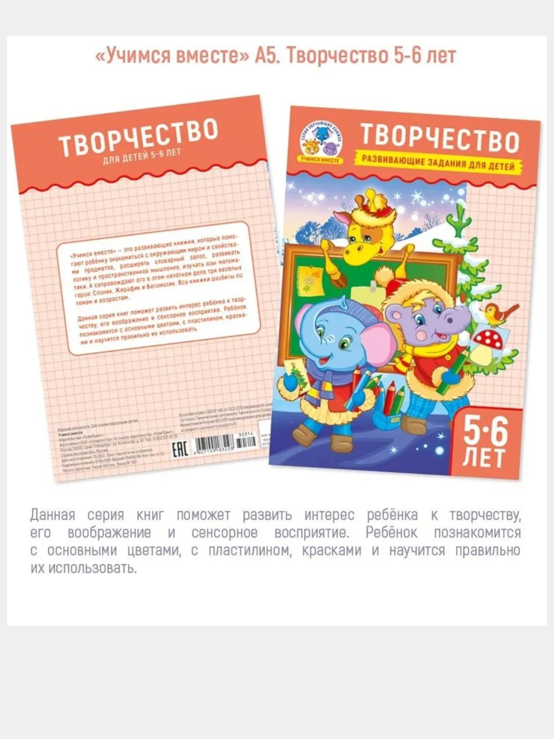 Рабочие тетрадки 4шт. Развивающие задания для детей 5-6 лет