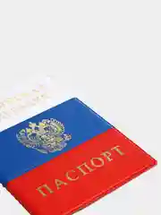 Алый обложка на паспорт, обложка для паспорта
