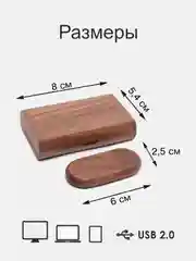 Коричневый usb флеш накопитель, в подарочной коробке, из бамбука, USB 2.0