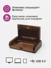 Коричневый usb флеш накопитель, в подарочной коробке, из бамбука, USB 2.0
