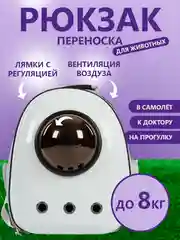 Черный удобный рюкзак, переноска для кошек и небольших собак, а также других небольших питомцев
