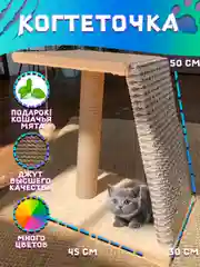 Кремовый когтеточка для кошек