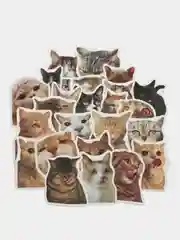 Молочный наклейки-стикеры котики мемы, 50 штук. Стикерпак с котиками и собачками, скрапбукинг. Таро