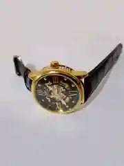 Часы механические, наручные, мужские, SEWOR, скелетон, с автоподзаводом