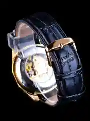 Часы механические, наручные, мужские, FORSINING 427, скелетон, с автоподзаводом