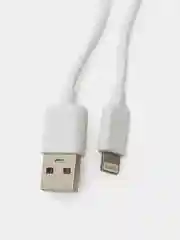 Ледяной сетевое зарядное устройство с кабелем Sky Dolphin, 2,4 А