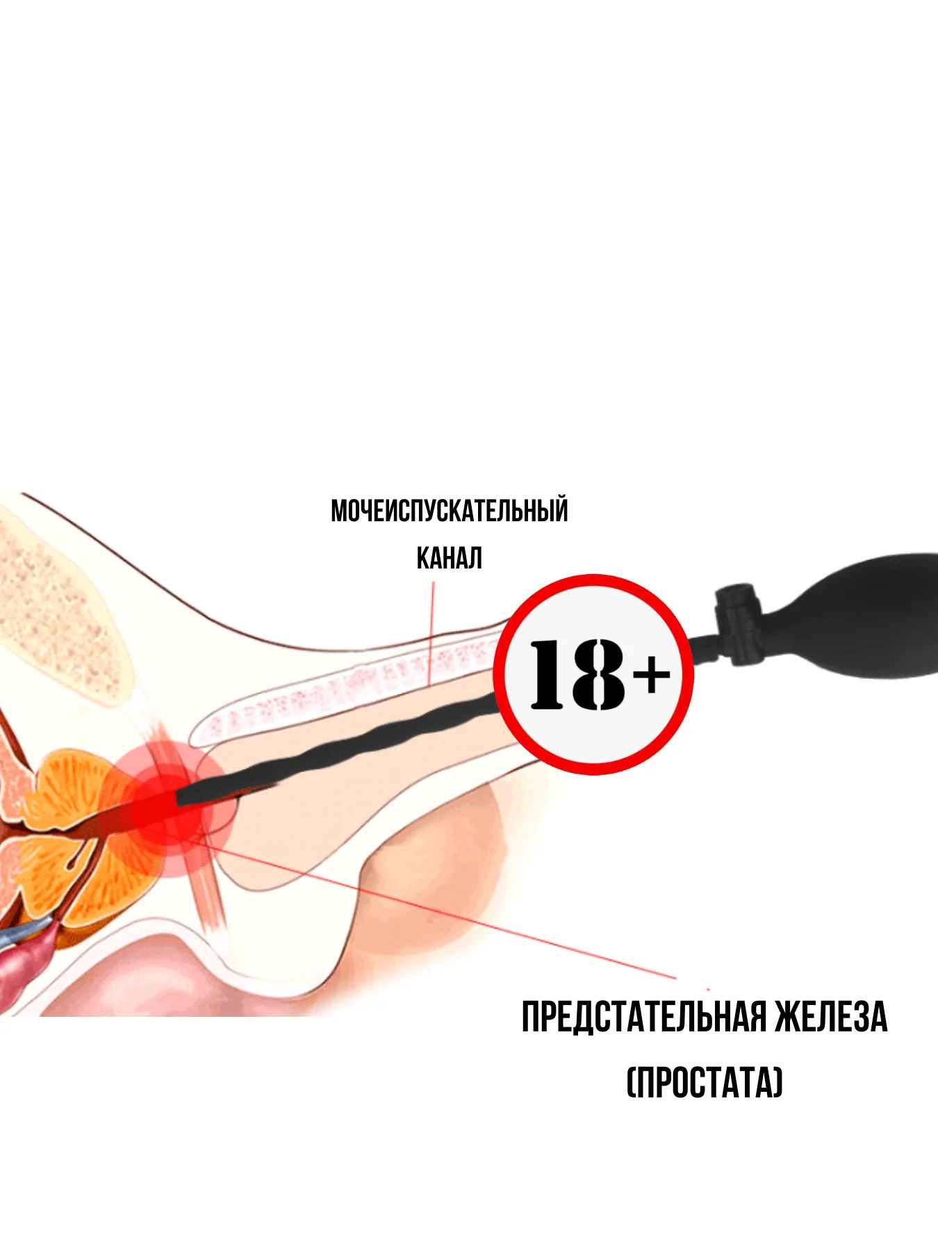Серый насадка НА ЧЛЕН / Уретральный расширитель уретры НАДУВНОЙ / зонд / мужские стринги кляп