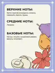 Спрей для дома и авто парфюмированный ароматический 100 мл, Mui Thom