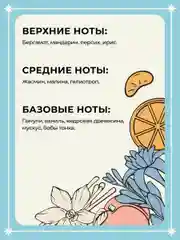 Спрей для дома и авто парфюмированный ароматический 100 мл, Mui Thom