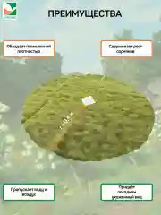 Приствольный круг желто-черный d=0,8м