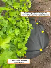 Агротекс Комплект для деревьев и кустарников №1