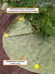 Агротекс Комплект для деревьев и кустарников №3