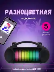 Беспроводная караоке система для дома с двумя беспроводными микрофонами, bluetooth колонка