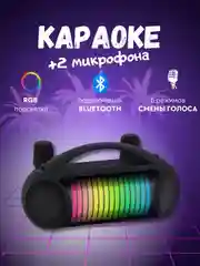 Беспроводная караоке система для дома с двумя беспроводными микрофонами, bluetooth колонка