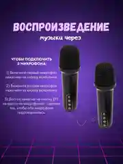 Беспроводная караоке система для дома с двумя беспроводными микрофонами, bluetooth колонка