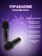 Беспроводная караоке система для дома с двумя беспроводными микрофонами, bluetooth колонка