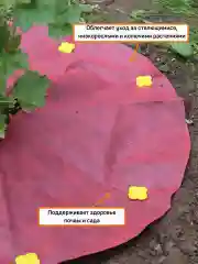 Агротекс Комплект для деревьев и кустарников №2
