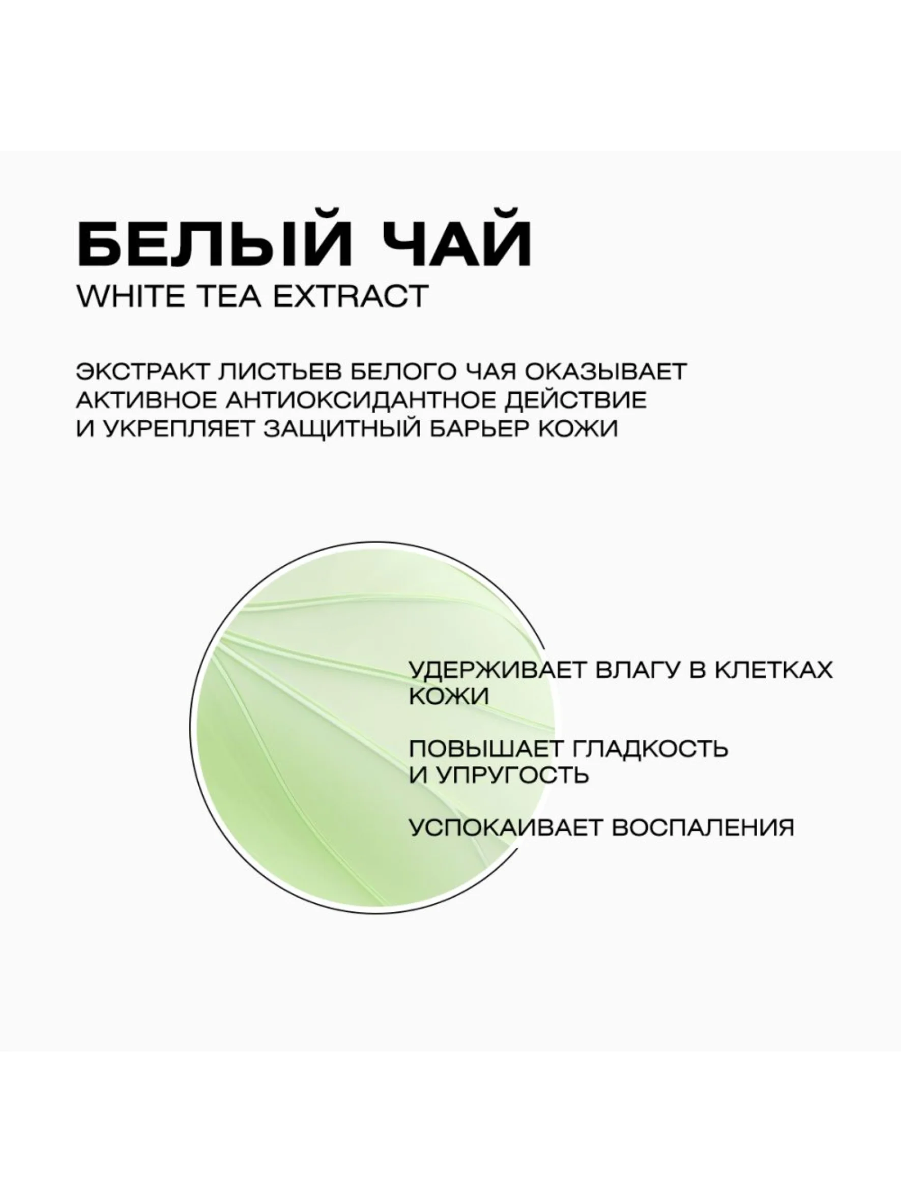 CLEANPLUS Энзимная пудра для лица и тела для умывания матирующая, пилинг очищающий, 110 мл