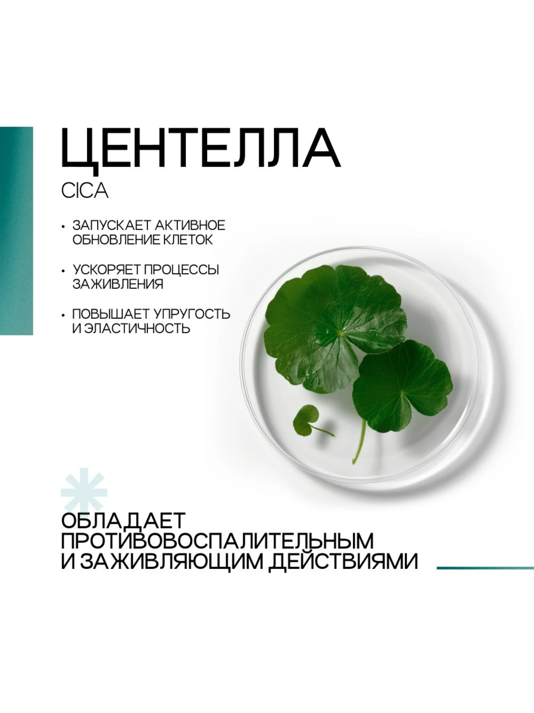 To My Skin / Сыворотка для лица от прыщей центелла и пантенол, 30 мл.