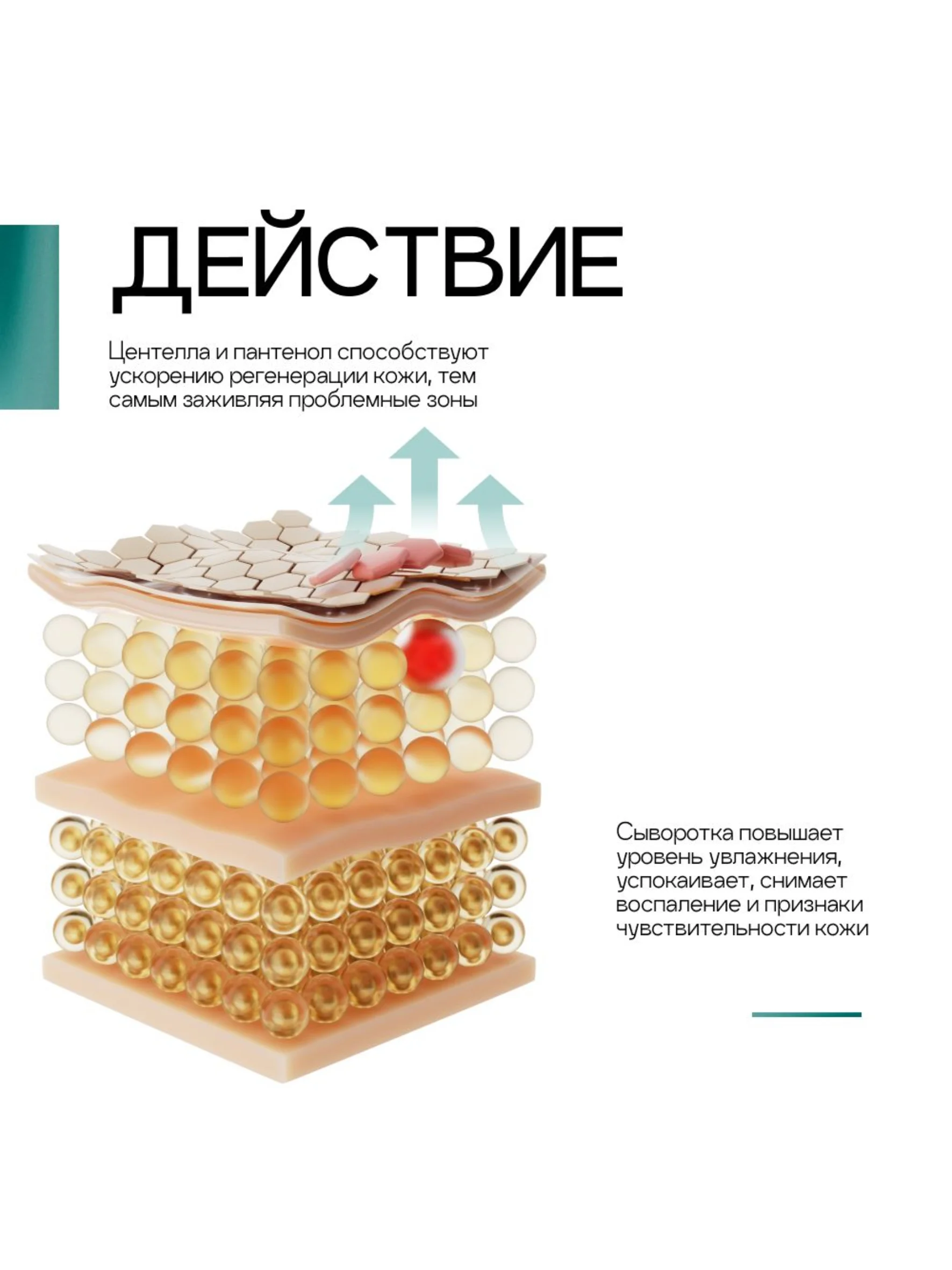 To My Skin / Сыворотка для лица от прыщей центелла и пантенол, 30 мл.