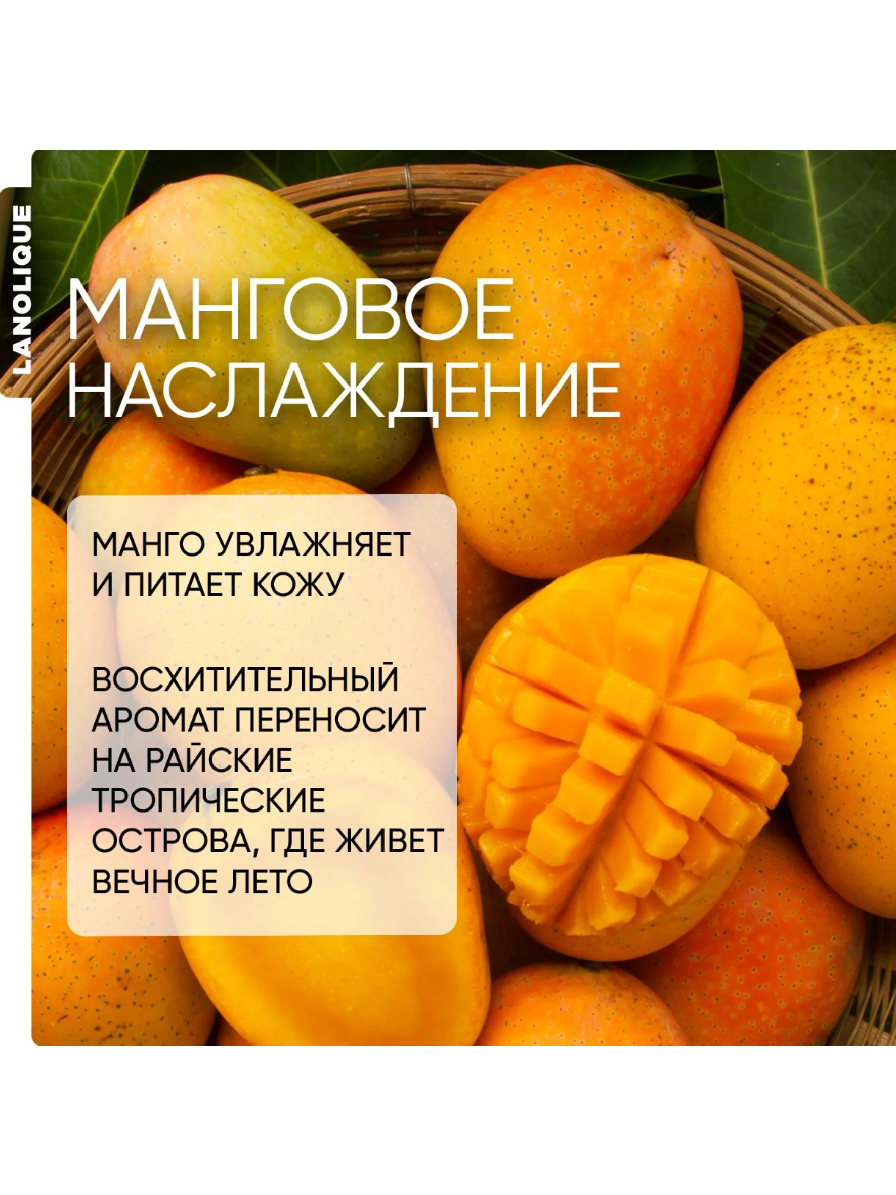Lanolique / Крем для тела питательный увлажняющий баттер тропическое манго, 200 мл
