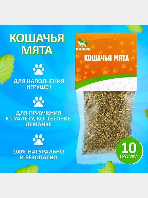Кошачья мята "Пижон" 1г, 10г