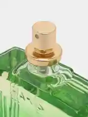 EURO INTENSE PERFUME (Евро  двойной парфюм) Т/В муж. 100 мл