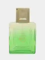 EURO INTENSE PERFUME (Евро  двойной парфюм) Т/В муж. 100 мл