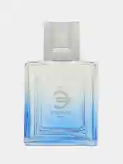 EURO Diamond INTENSE PERFUME (Евро  Даймонд двойной парфюм)Т/В муж. 100 мл