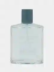 Absolute Ocean (Абсолют Оушн)-100ml for men