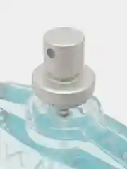 Absolute Ocean (Абсолют Оушн)-100ml for men
