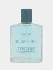 Absolute Eau Fraiche (Абсолют Эу Фреш)-100ml for men