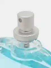 Absolute Eau Fraiche (Абсолют Эу Фреш)-100ml for men