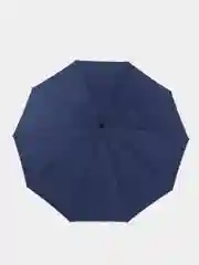 Синий зонт обратного сложения со встроенным фонариком, умный зонт Zuodu Automatic Umbrella LED