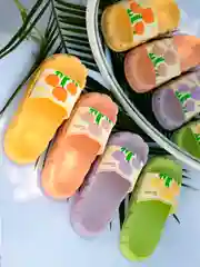 Сланцы женские Тюльпаны