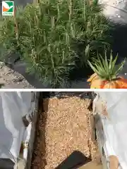 Нетканый материал Агротекс Гео 90 0,4x25м