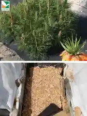 Нетканый материал Агротекс Гео 90 0,8x12м