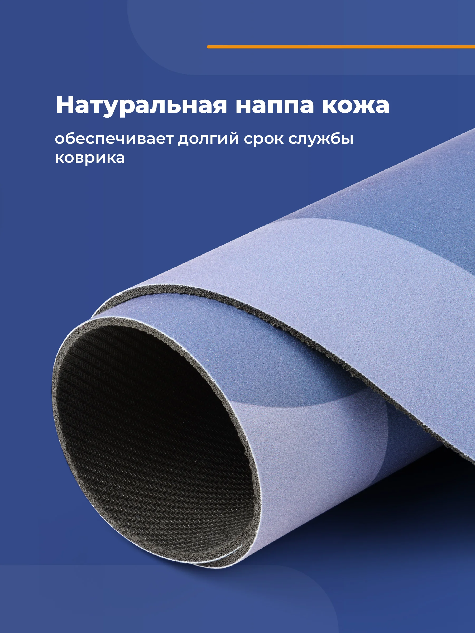 Синий коврик для ванной комнаты Birdhouse, быстросохнущий, 80 х 50 см