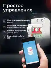 Умный двухполюсный автоматический выключатель Ps-Link MCB-2P WIFI с таймером, расписанием
