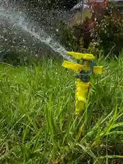 Распылитель воды садовый 1/2"