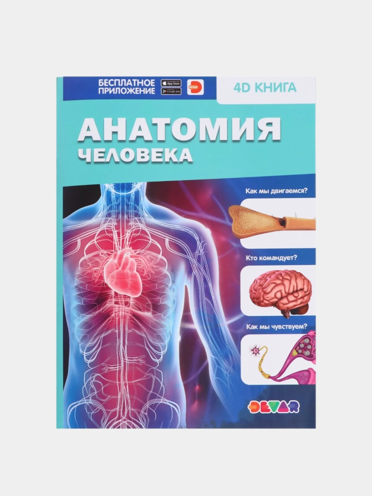 Тиффани энциклопедия 4D в дополненной реальности