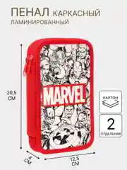 Прозрачный пенал школьный каркасный, 1 и 2 секционный, разные виды