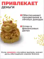 Золотой денежная жаба с монеткой  амулет привлекает  деньги в дом, фен шуй
