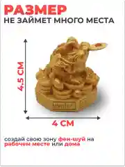 Золотой денежная жаба с монеткой  амулет привлекает  деньги в дом, фен шуй